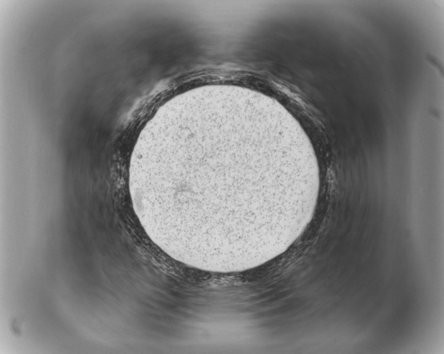 X0000102401447200808291435