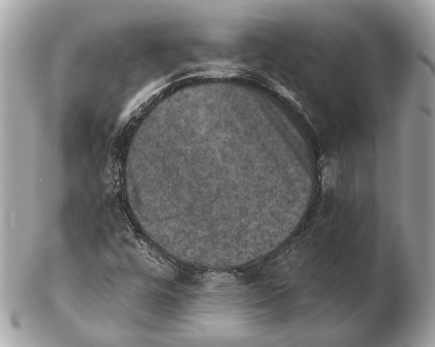 X0000102401448200808291435
