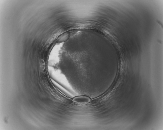 X0000102401449200808291435