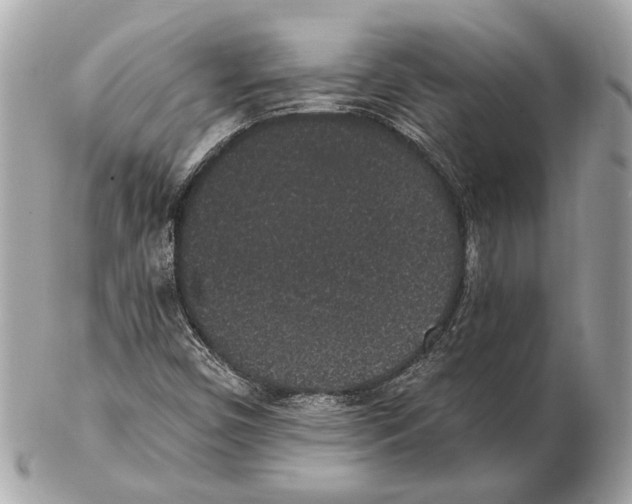 X0000102401450200808291435