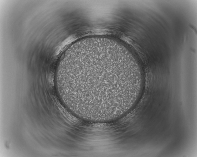X0000102401451200808291435