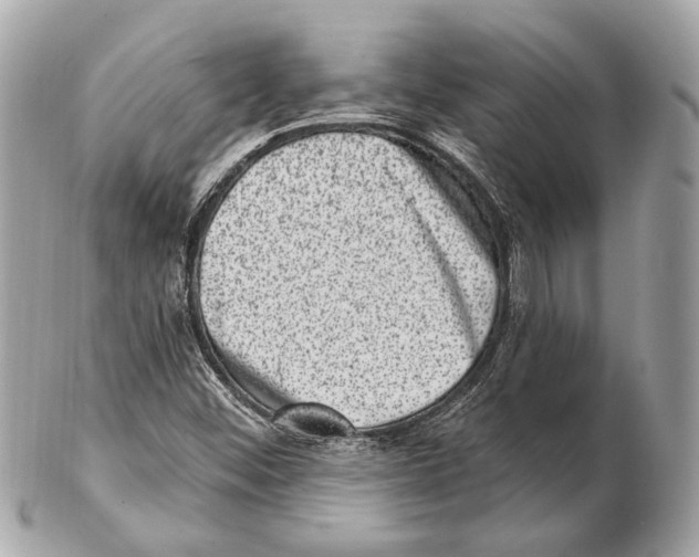 X0000102401452200808291435