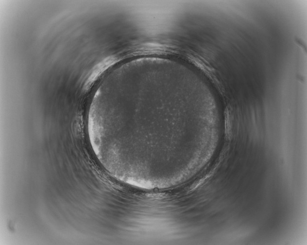 X0000102401453200808291435