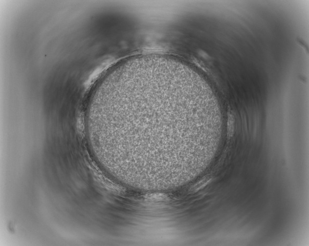 X0000102401454200808291435
