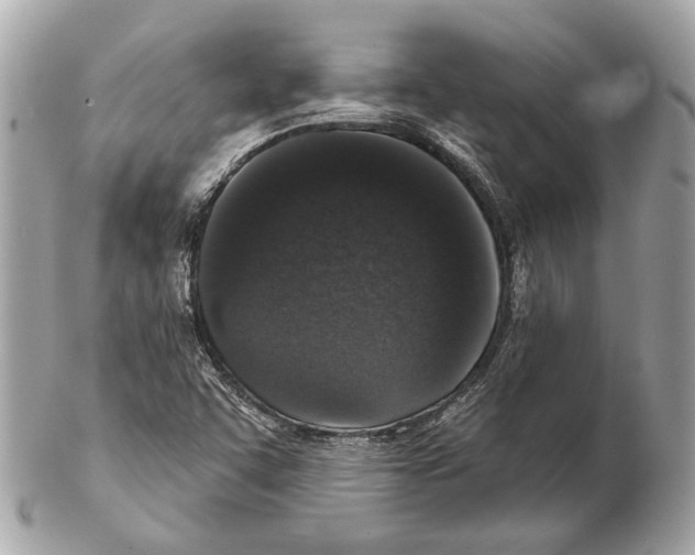 X0000102401455200808291435