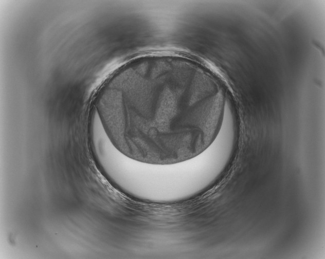 X0000102401456200808291435