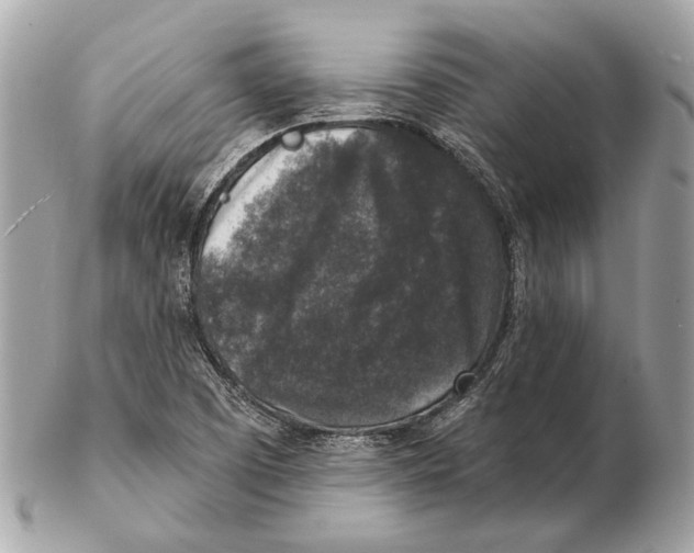 X0000102401457200808291435