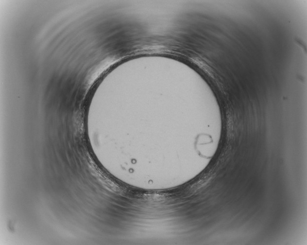 X0000102401458200808291435
