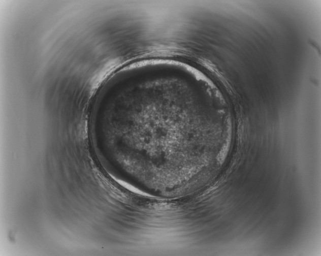 X0000102401459200808291435