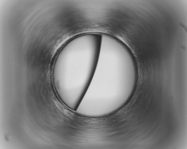 X0000102401460200808291435