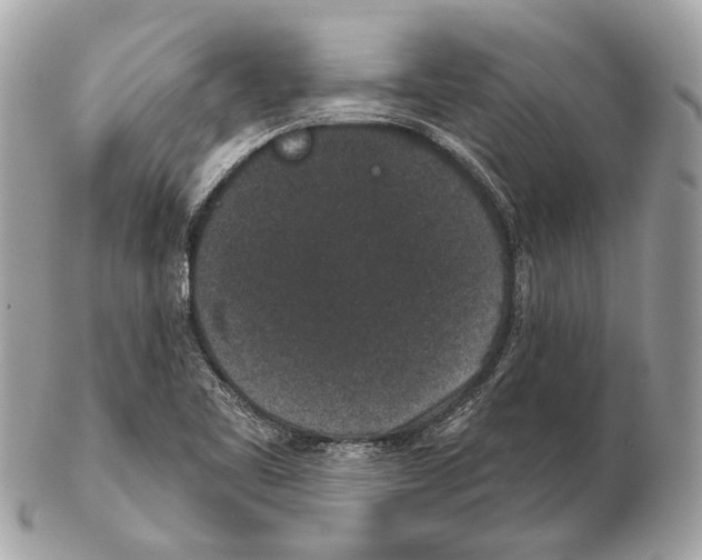 X0000102401461200808291435