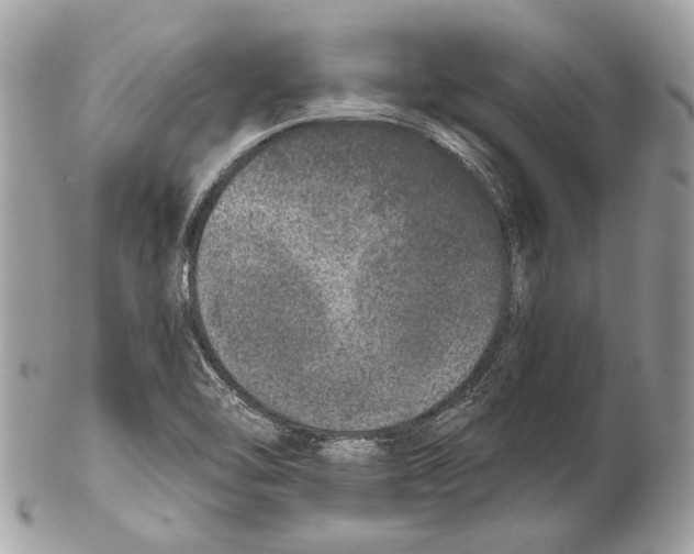 X0000102401462200808291435