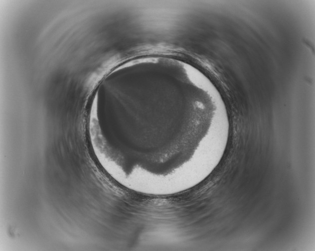X0000102401463200808291435