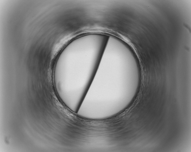 X0000102401464200808291435