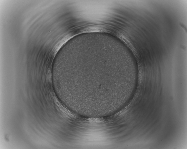 X0000102401465200808291435