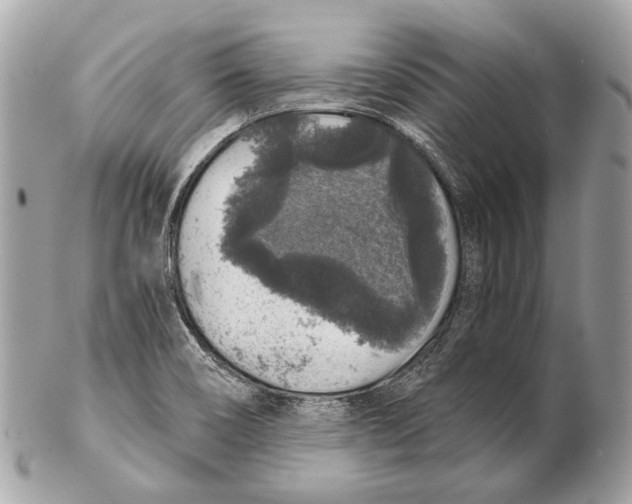 X0000102401466200808291435