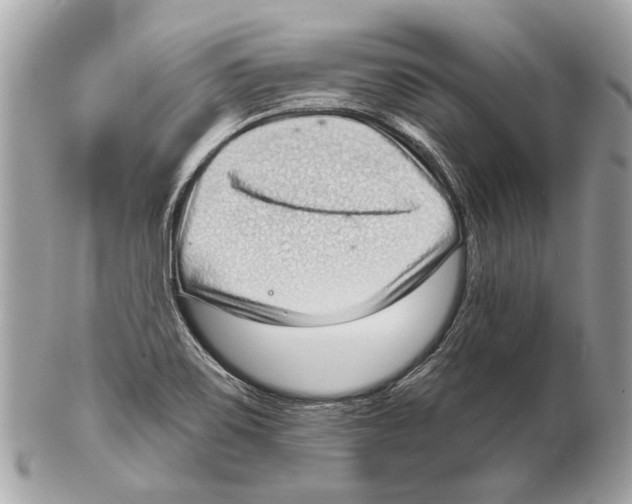 X0000102401467200808291435