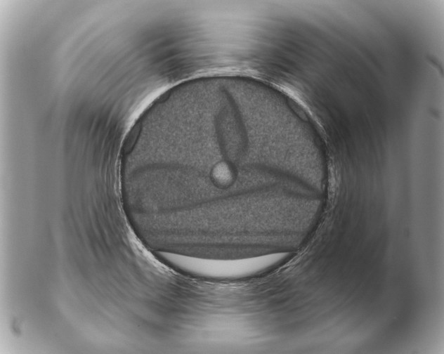 X0000102401468200808291435