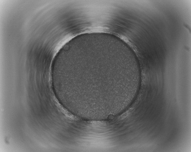 X0000102401469200808291435