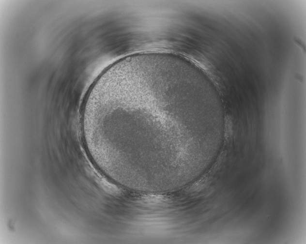 X0000102401470200808291435