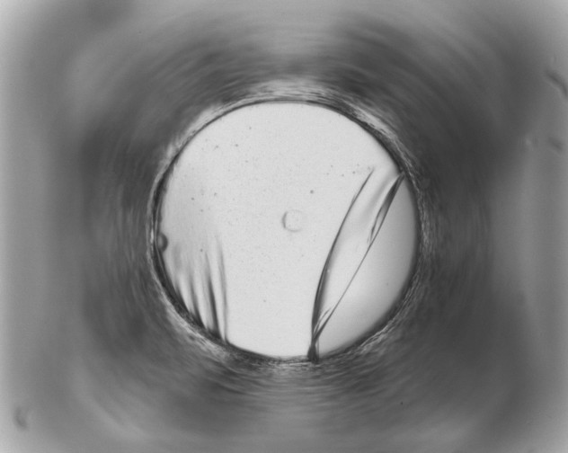 X0000102401471200808291435
