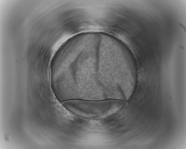 X0000102401472200808291435
