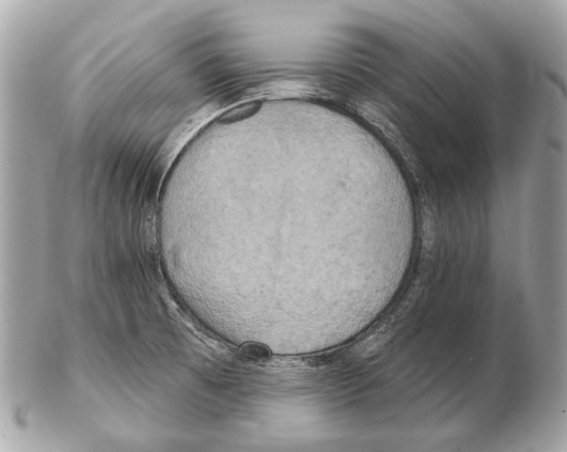 X0000102401473200808291435