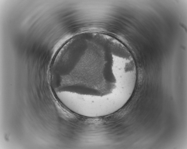 X0000102401474200808291435