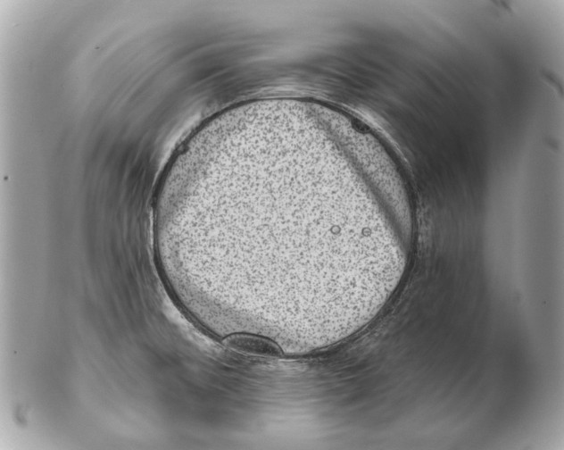 X0000102401476200808291434