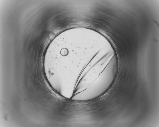 X0000102401477200808291434