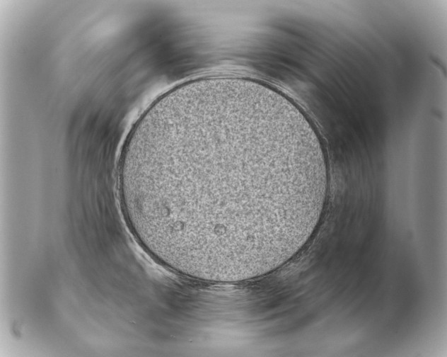X0000102401478200808291434