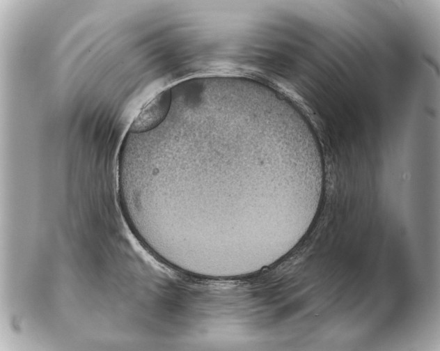 X0000102401479200808291434