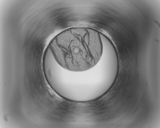 X0000102401480200808291434