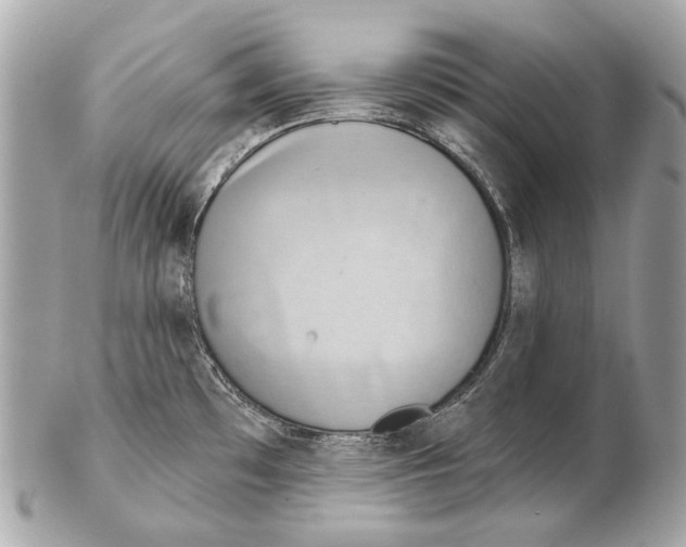 X0000102401481200808291434