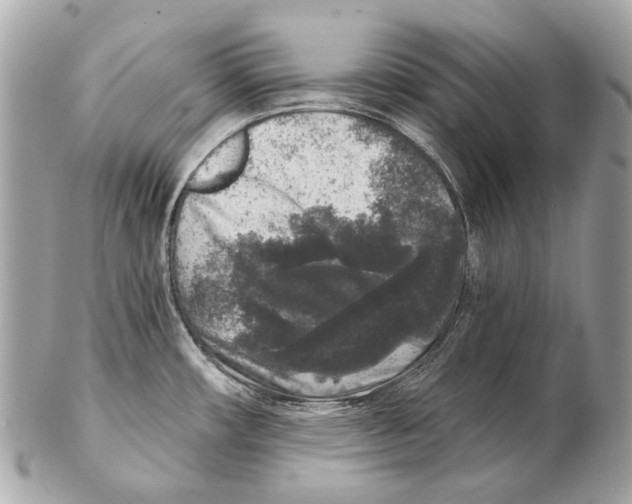 X0000102401482200808291434