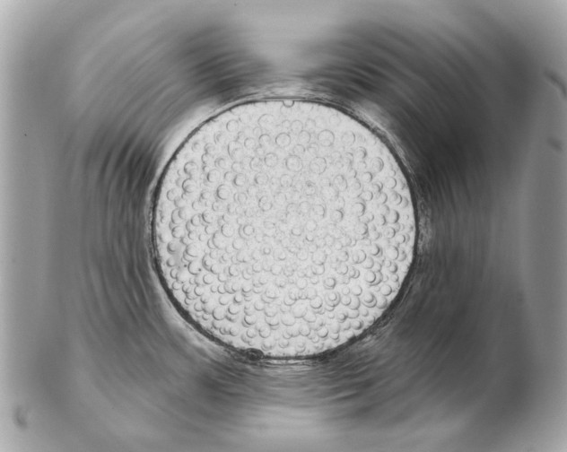 X0000102401483200808291434