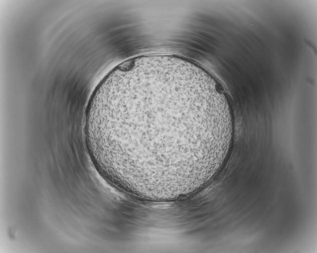 X0000102401484200808291434