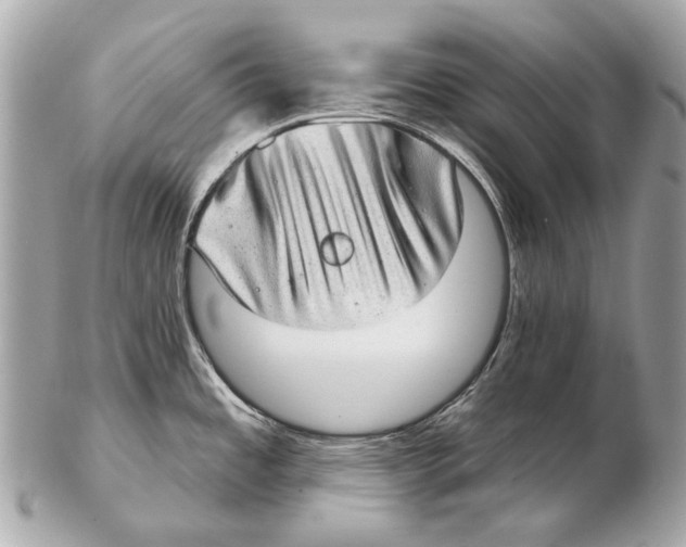 X0000102401485200808291434