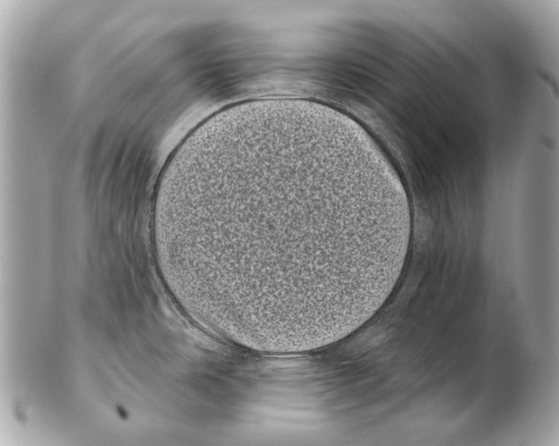 X0000102401486200808291434