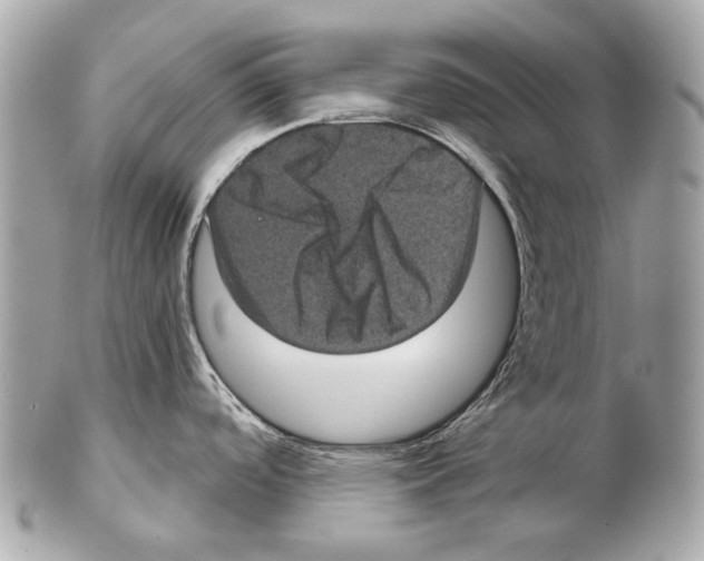 X0000102401488200808291434