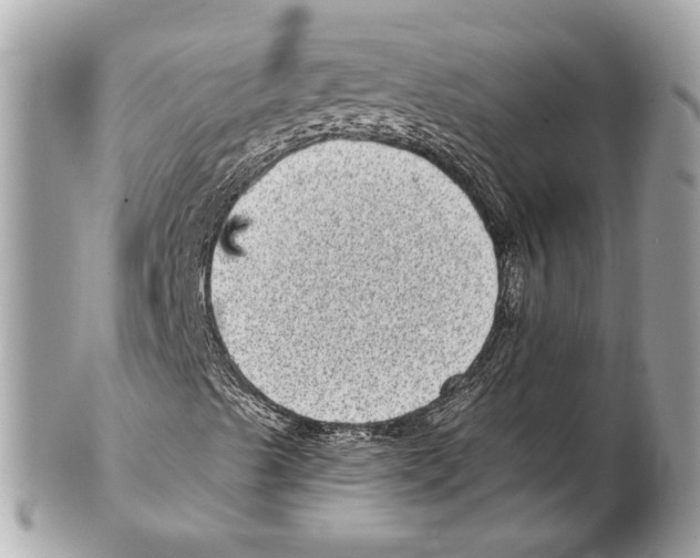 X0000102401489200808291434