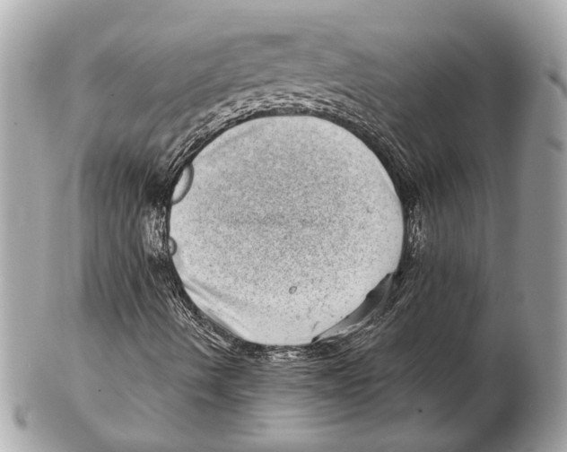 X0000102401490200808291434