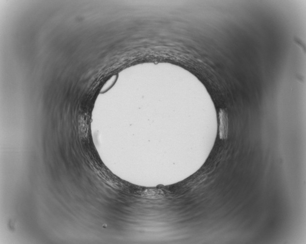 X0000102401491200808291434