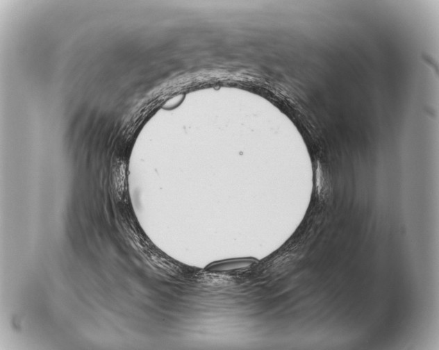 X0000102401492200808291434