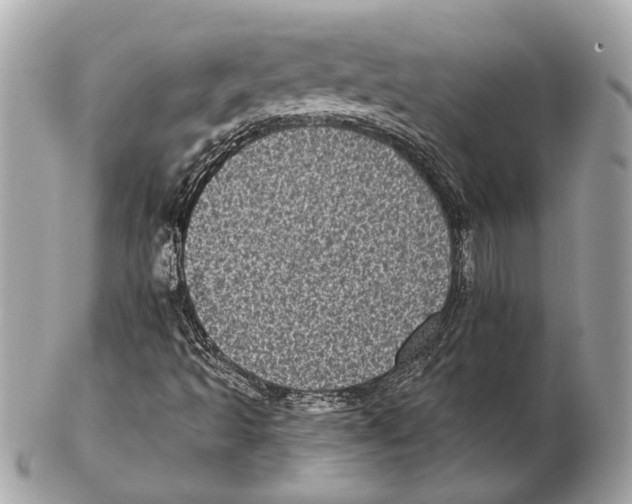 X0000102401493200808291434