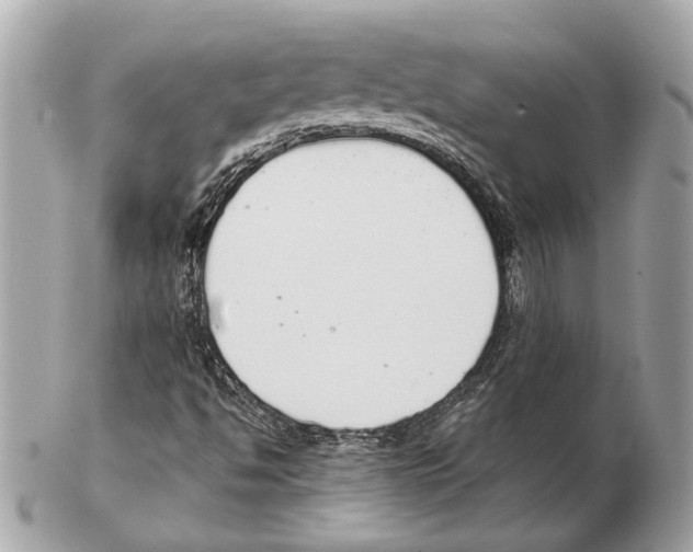 X0000102401494200808291434
