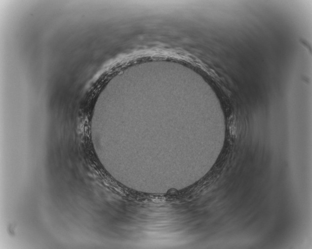 X0000102401495200808291434