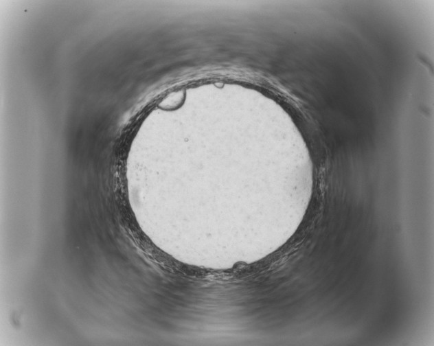 X0000102401496200808291434