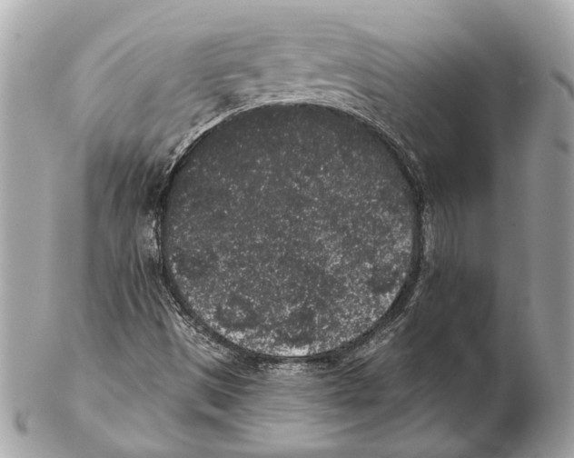 X0000102401497200808291434