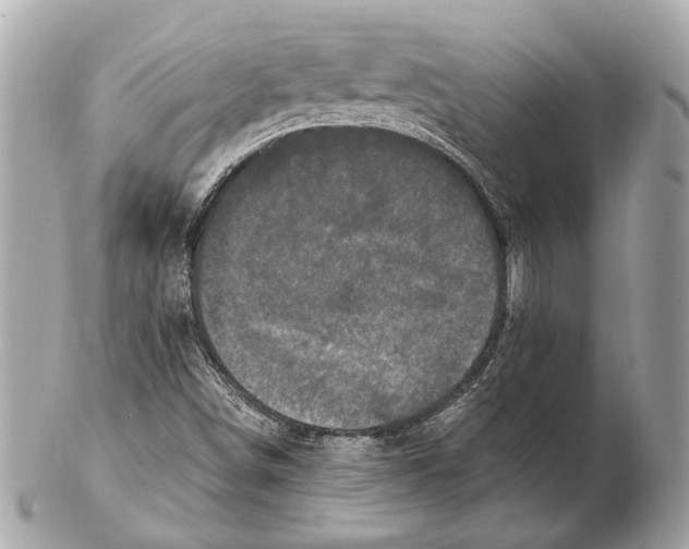 X0000102401498200808291434